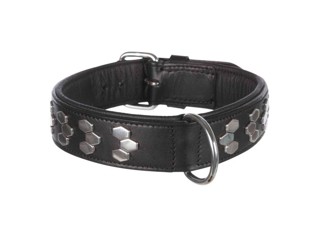 Collar extra ancho piel negra Trixie Active diseño metálico para perros