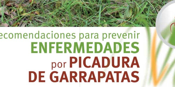 ¿Qué enfermedades transmiten las garrapatas?