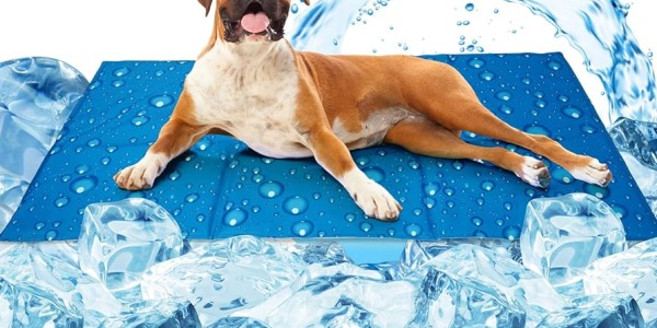 Las ventajas de las camas refrescantes para perros