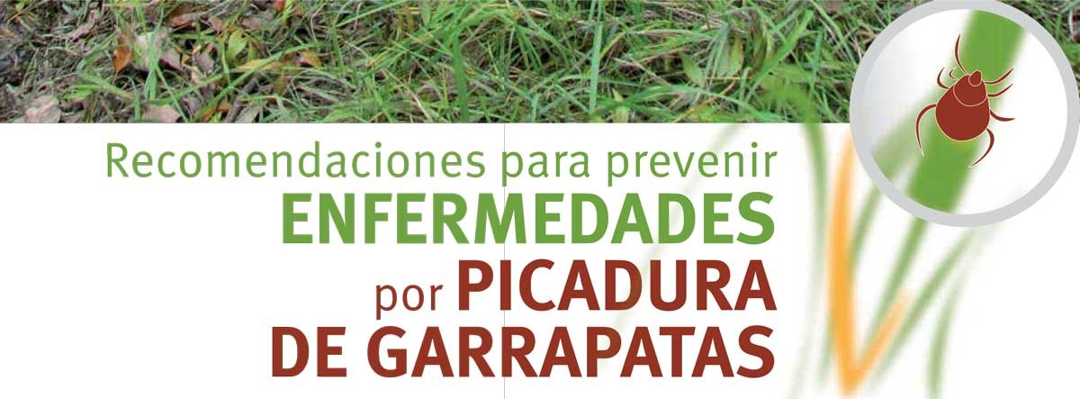 ¿Qué enfermedades transmiten las garrapatas?